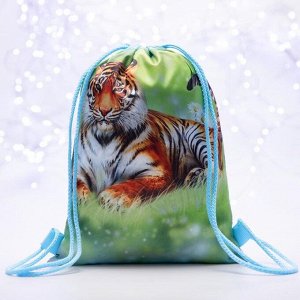 Мешок-рюкзак новогодний, 21 ? 29 см, отдел на шнурке, цвет зелёный, «Тигр на полянке»