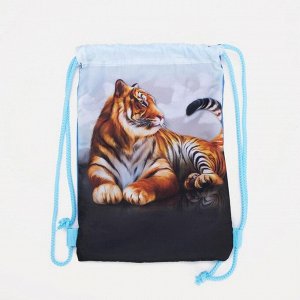 Мешок-рюкзак новогодний, 21 ? 29 см, отдел на шнурке, цвет голубой, «Тигр»
