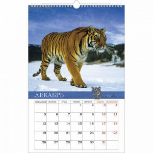Календарь на гребне с ригелем, 2022 год 30х45 см, ЛЮКС, "Год тигра", HATBER, 12Кнп3гр_25151