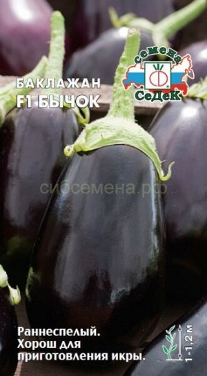 Баклажан Бычок