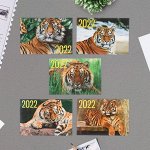 Карманный календарь &quot;Символ года - 1&quot; 2022 год, 7 х 10 см, МИКС 7036598
