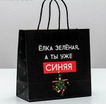 Пакет подарочный «А ты уже синяя»