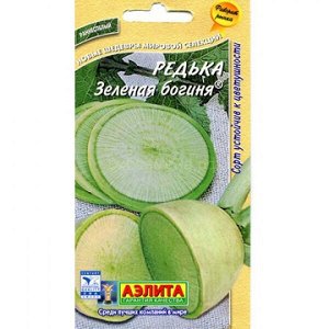 Редька Зеленая богиня китайская