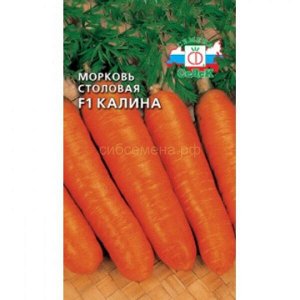 Морковь Калина F1 (Седек)
