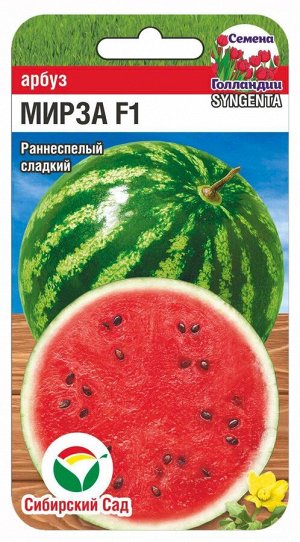 Арбуз Мирза (Код: 88601)