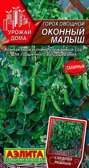 Горох Оконный малыш (Код: 88616)