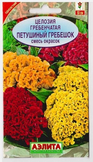 Целозия Петушинный гребешок (Код: 7693)