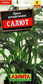 Просо Салют (Код: 88872)