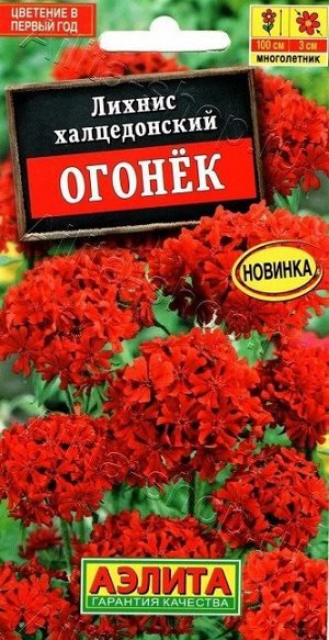 Лихнис Огонек (Код: 88855)