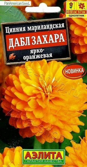 Цинния Дабл Захара Ярко-оранжевая (Код: 88877)