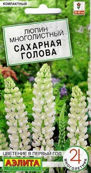 Люпин Сахарная голова (Код: 88858)