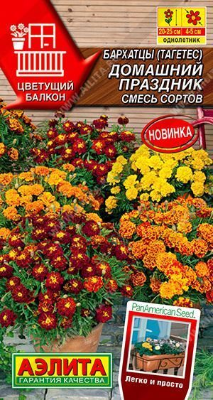 Бархатцы Домашний праздник (Код: 88808)
