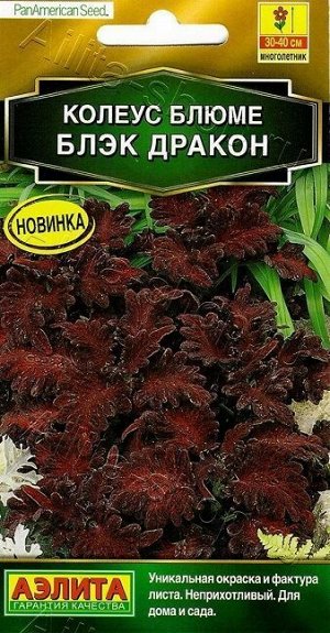 Колеус Блэк Дракон (Код: 88852)