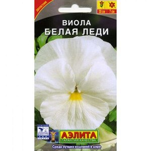 Виола Белая леди