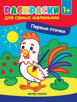 Уценка. Первые птички. Книжка-раскраска