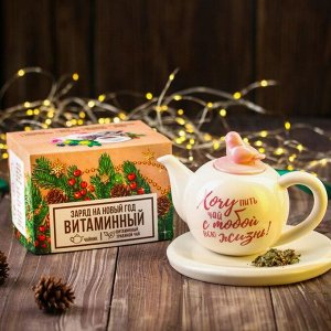 Подарочный набор «Заряд на новый год»: витаминный травяной чай 30 г., чайник 400 мл.