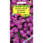 Гвоздика амурская Красновато-фиолетовая