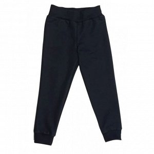 Спортивные штаны 381/33 (темно-синие)