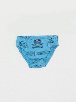 CWKB 10066-43 Трусы для мальчика, голубой