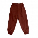 Спортивные штаны 357/8 (коричневые)