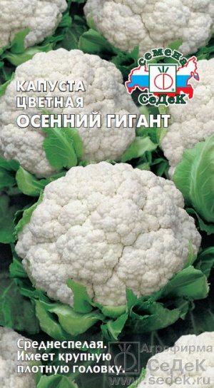 Капуста Осенний Гигант (ЦВ). Евро, 0,5