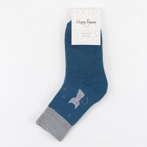 Носки женские махровые «Кошечка», цвет серый/синий, размер 23-25