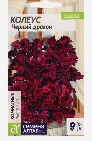 Семена комнатных цветов Колеус "Черный Дракон", Мн, цп, 10 шт.