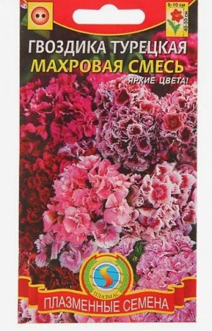 Семена цветов Гвоздика турецкая, махровая, смесь, Дв., 0,2 г