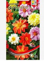 Семена цветов Георгина &quot;Фейерверк&quot; Дом семян, О, 12 шт
