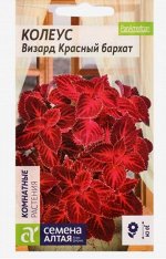 Семена комнатных цветов Колеус &quot;Визард&quot; Красный бархат, Мн, цп, 10 шт.