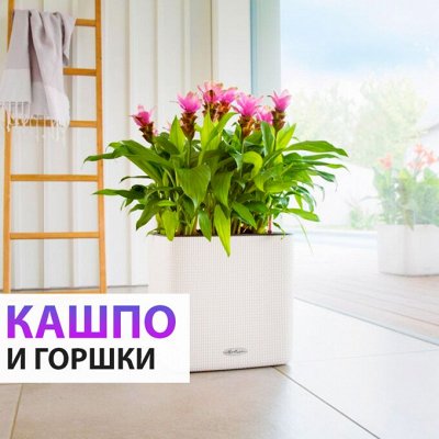 Elite Home — Эффективный и комфортный процесс глажки вещей — 🌷 Кашпо для растений