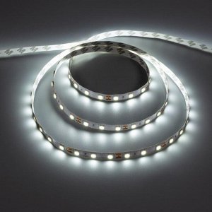 Светодиодная лента Smartbuy 5 м, IP20, SMD5050, 60 LED/м, 14.4 Вт/м, 12 В, 6500К