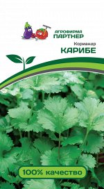 Партнёр Кориандр Карибе