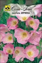Энотера Ирина (ЕВРОЛОГ)