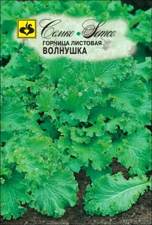 Горчица Волнушка