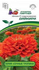 Цинния георгиновидная &quot;Сочные тропики&quot; F1 Дайкири