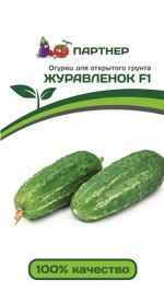 Огурец пчелоопыляемый Журавленок F1
