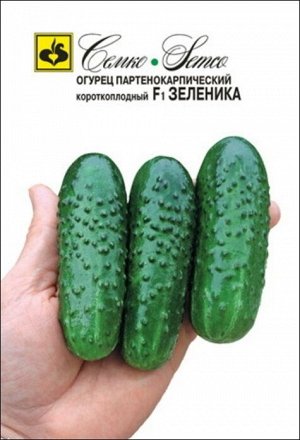 СЕМКО Огурец партенокарпический Зеленика F1 / гибриды с длиной плодов 6-12 см