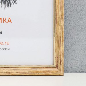 Фоторамка пластик 21х30 см, бежевый (пластиковый экран)