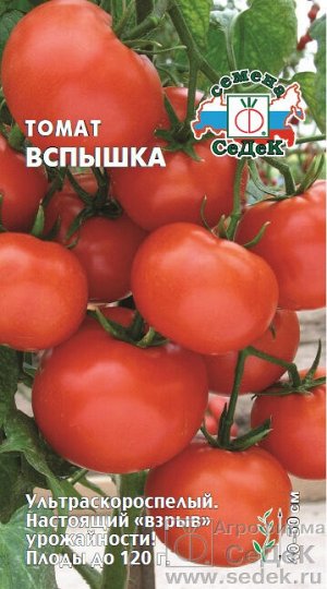 Томат Вспышка (ХИТ! ультраскороспел, ОГ, ПУ, дет, штамб, округ, красн, 80-120г, урожайн.). Евро, 0,1г.  тип упаковки Евро