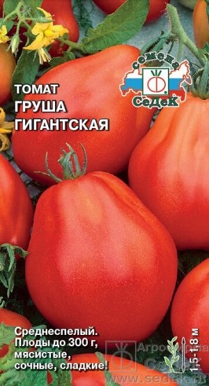 Томат Груша гигантская (парн, тепл, индет, куб-грушевид, ребр, крас, 200-300г, мясист.). Евро, 0,1г.  тип упаковки Евро