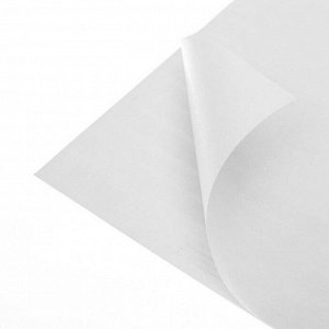 Бумага для скрапбукинга с клеевым слоем «Клетка», 20 ? 21,5 см, 250 г/м