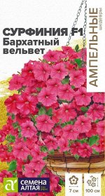Цветы Сурфиния F1 Бархатный вельвет/Сем Алт/цп 5 шт. Ампельные шедевры