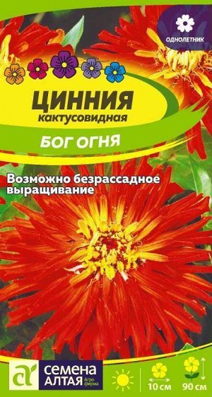 Цветы Цинния Бог Огня кактусовидная/Сем Алт/цп 0,2 гр.