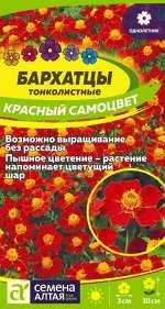 Цветы Бархатцы Красный Самоцвет тонколистн./Сем Алт/цп 0,1 гр.