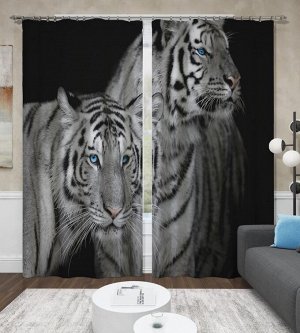 Фотошторы "Два тигра"