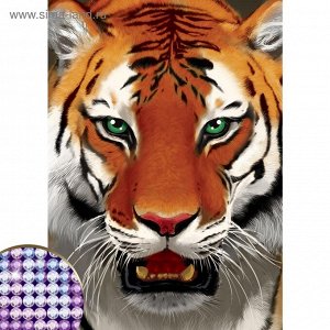 Алмазная вышивка с полным заполнением «Тигр», 15 х 21 см. Набор для творчества