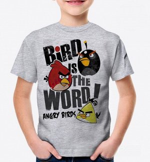 Детская футболка birds is the word, цвет серый меланж
