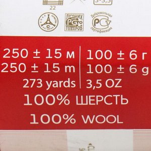 Пряжа "Секрет успеха" 100% шерсть 250м/100гр (363-Св.вишня)