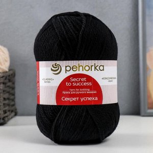 Пряжа "Секрет успеха" 100% шерсть 250м/100гр (02-Черный)